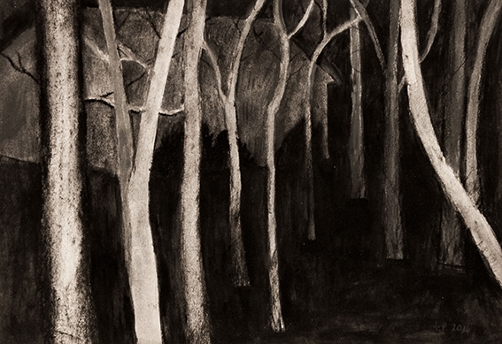 Aneta Posecka - Nacht in Abisko, tekening op papier, 29x20cm