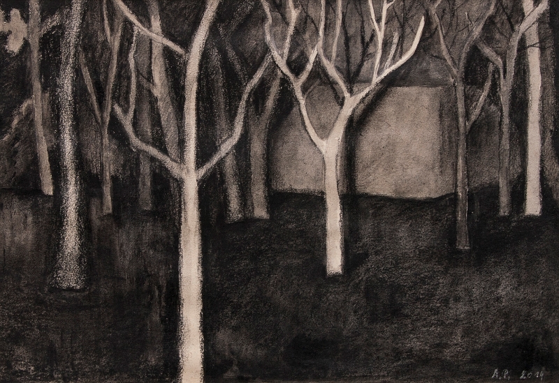 Aneta Posecka - Nacht in Abisko, tekening op papier, 29x20cm