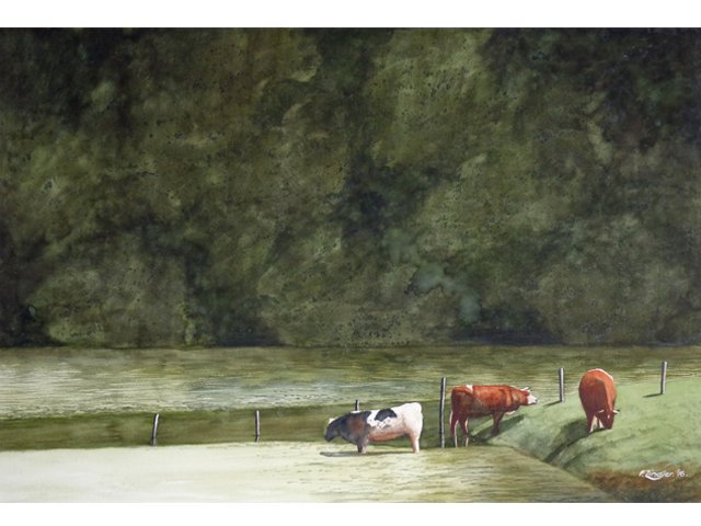 Frank Zindler - Koeien in het water, aquarel, 60x50cm