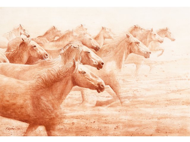 Frank Zindler - Paarden in Camaque, aquarel, 64x48cm