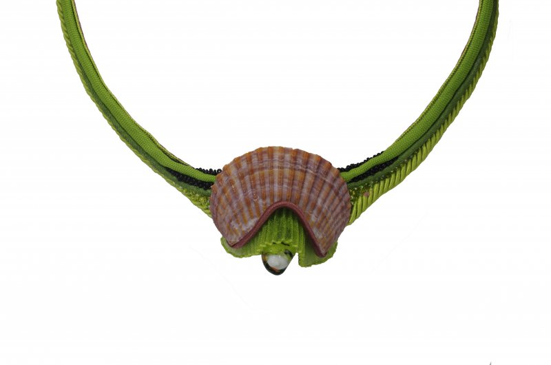 Frans Beelen - Halssieraad