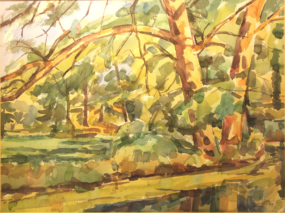 Jan Gierveld - Aquarel delden