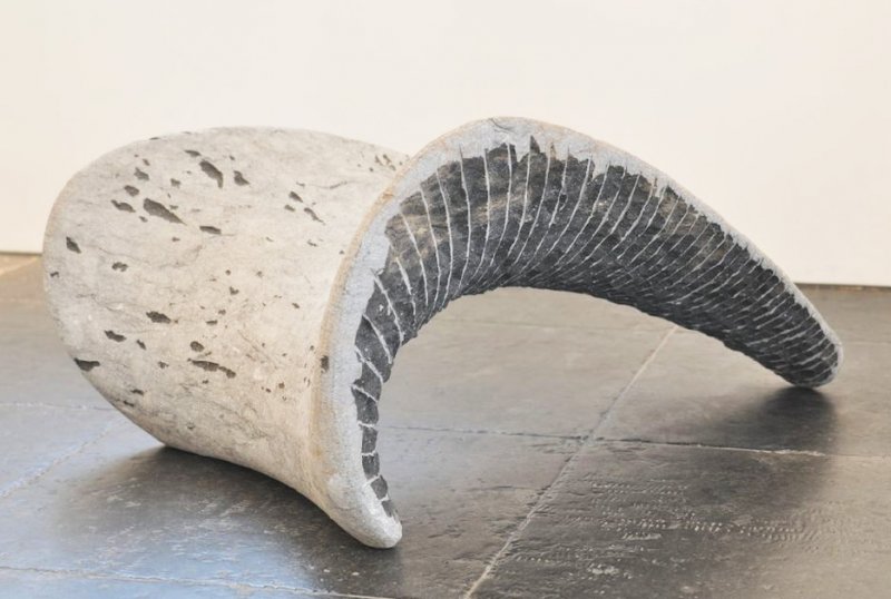 Jan Kees Lantermans - Antagonist black lowres