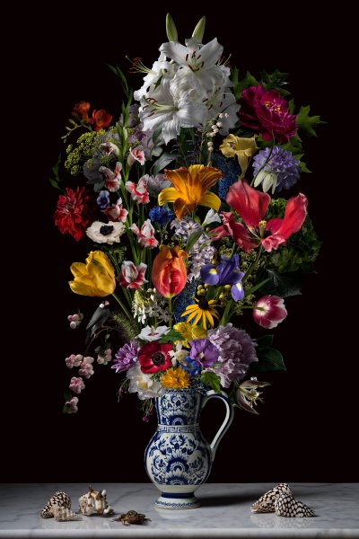 Julija Levkova - Dutch Blend web