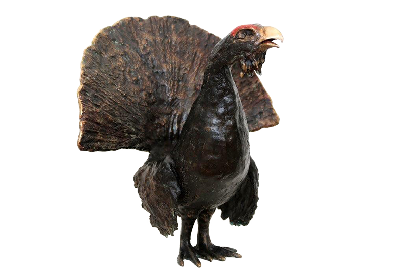 Kitty Warnawa - Pronken