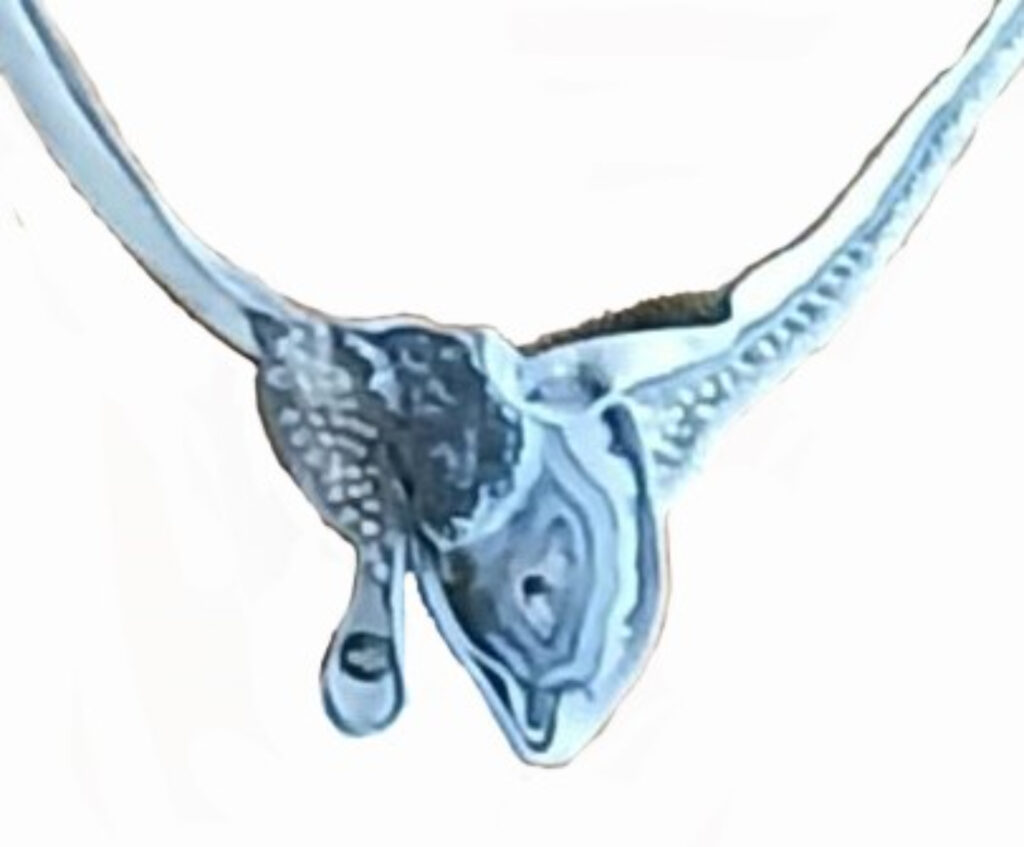 Frans Beelen - Halssieraad Vuursteen